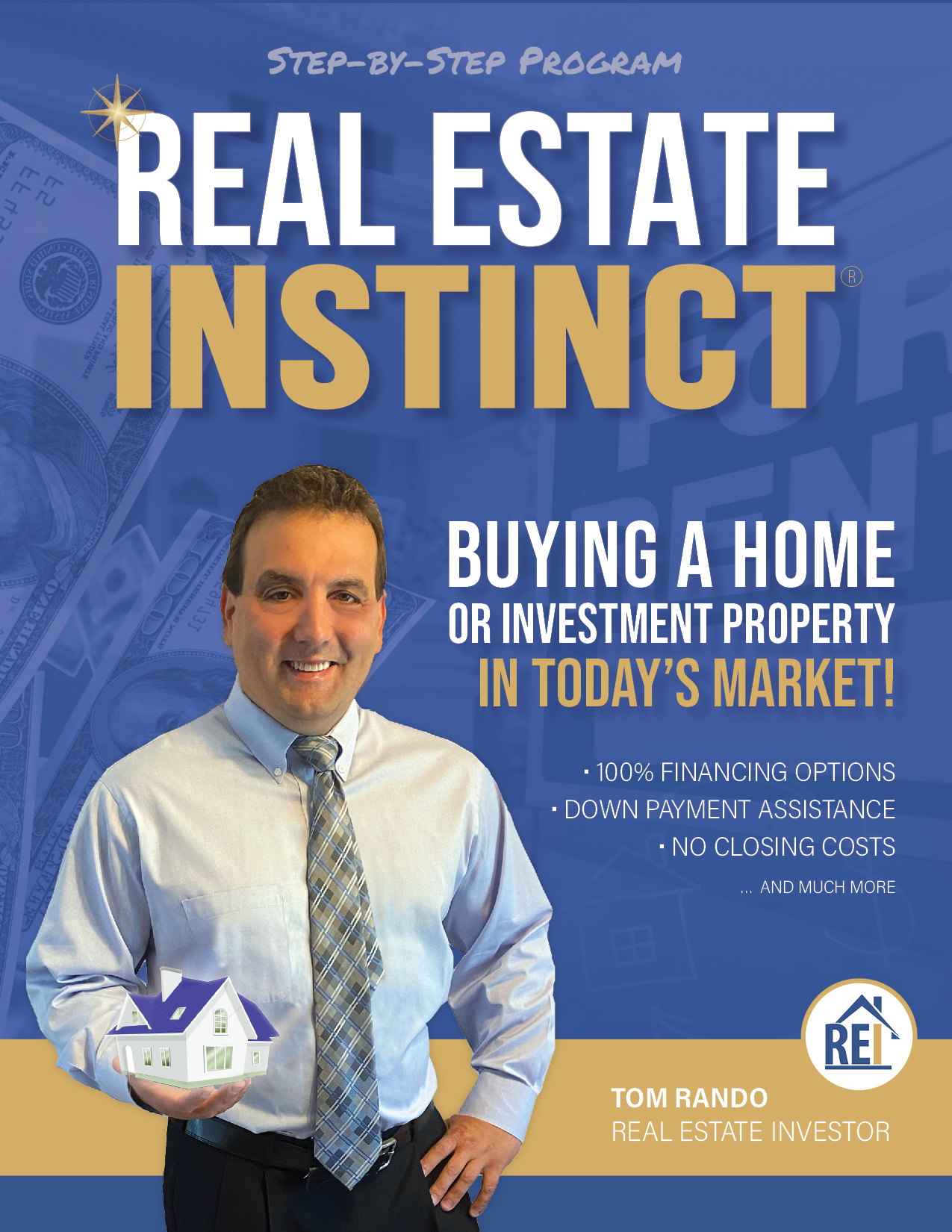 Real Estate Instinct Buying A Home or Investment Property in Todays Market - front cover